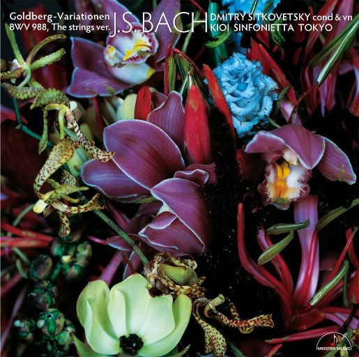 俄罗斯与欧美性爱电影
